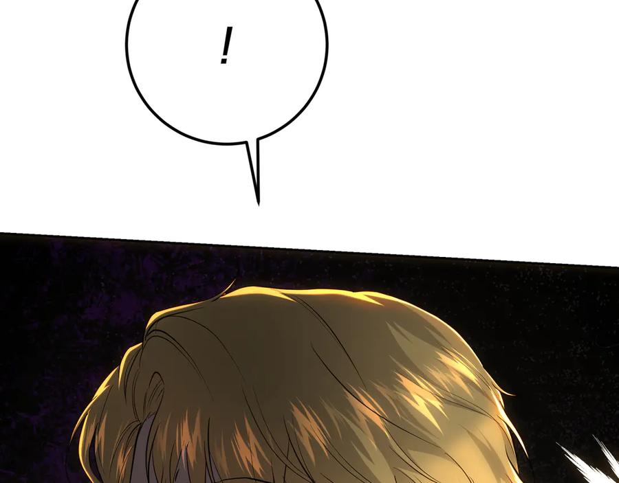 243.jpg