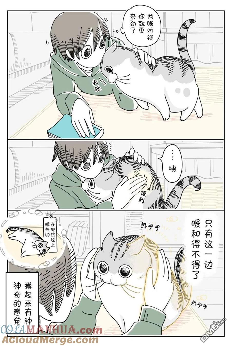 第144话-关于养猫我一直是新手-キュルZ（第2张）