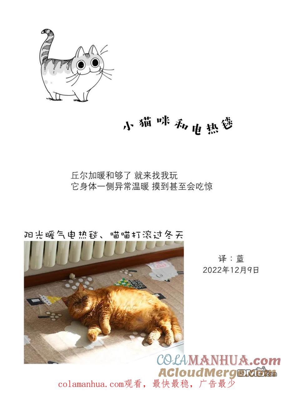 第144话-关于养猫我一直是新手-キュルZ（第3张）