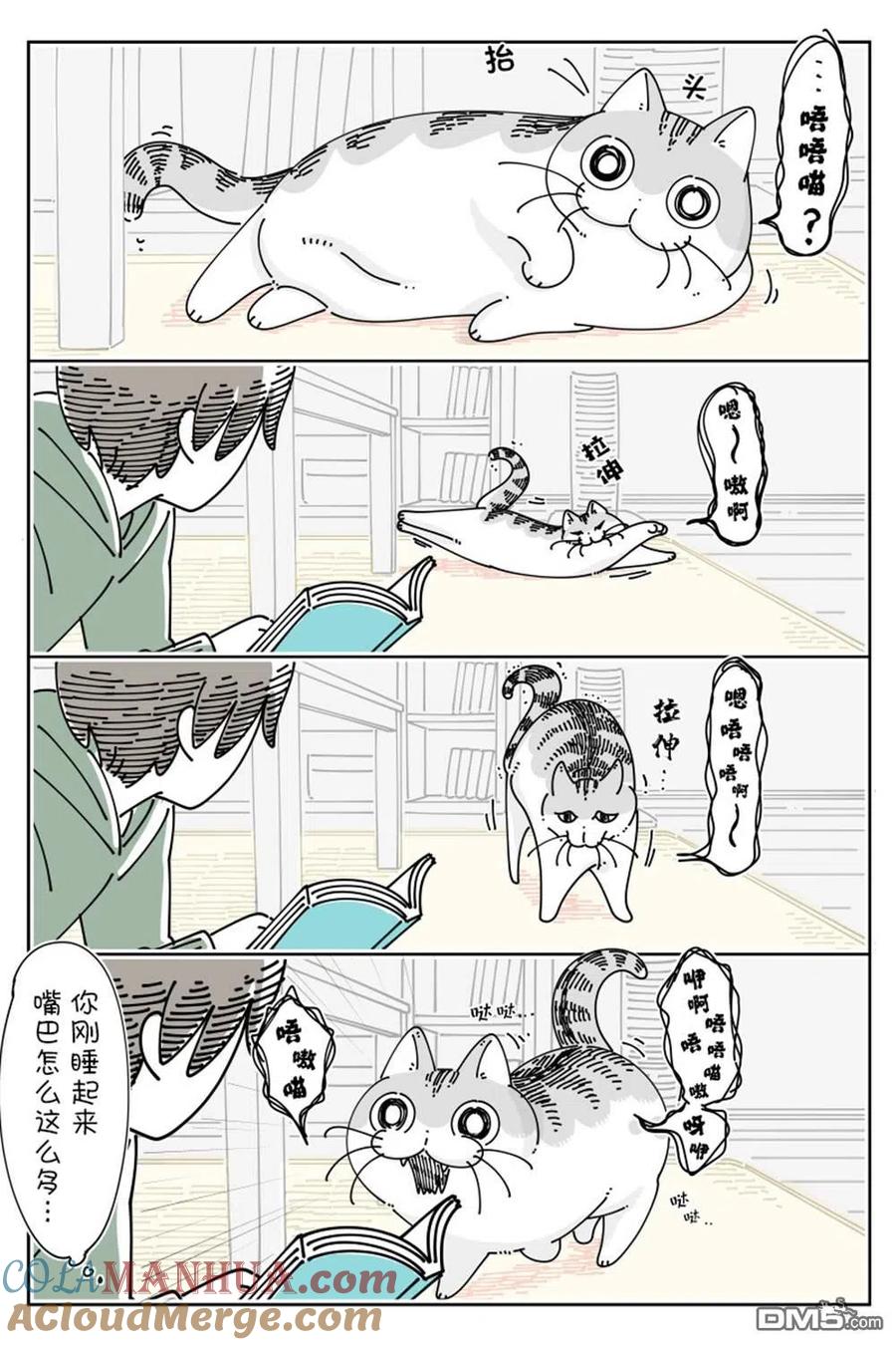 第144话-关于养猫我一直是新手-キュルZ（第1张）
