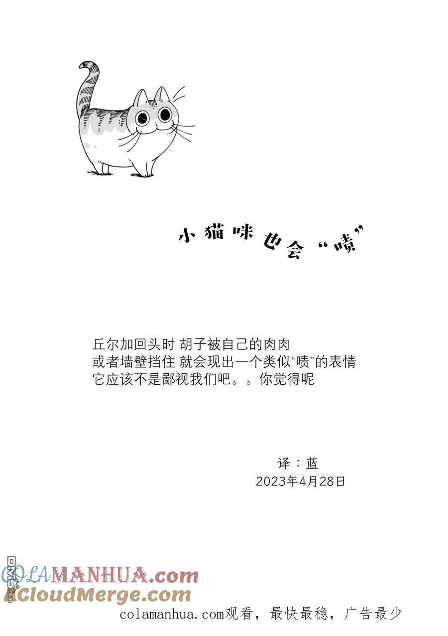 第164话-关于养猫我一直是新手-キュルZ（第3张）