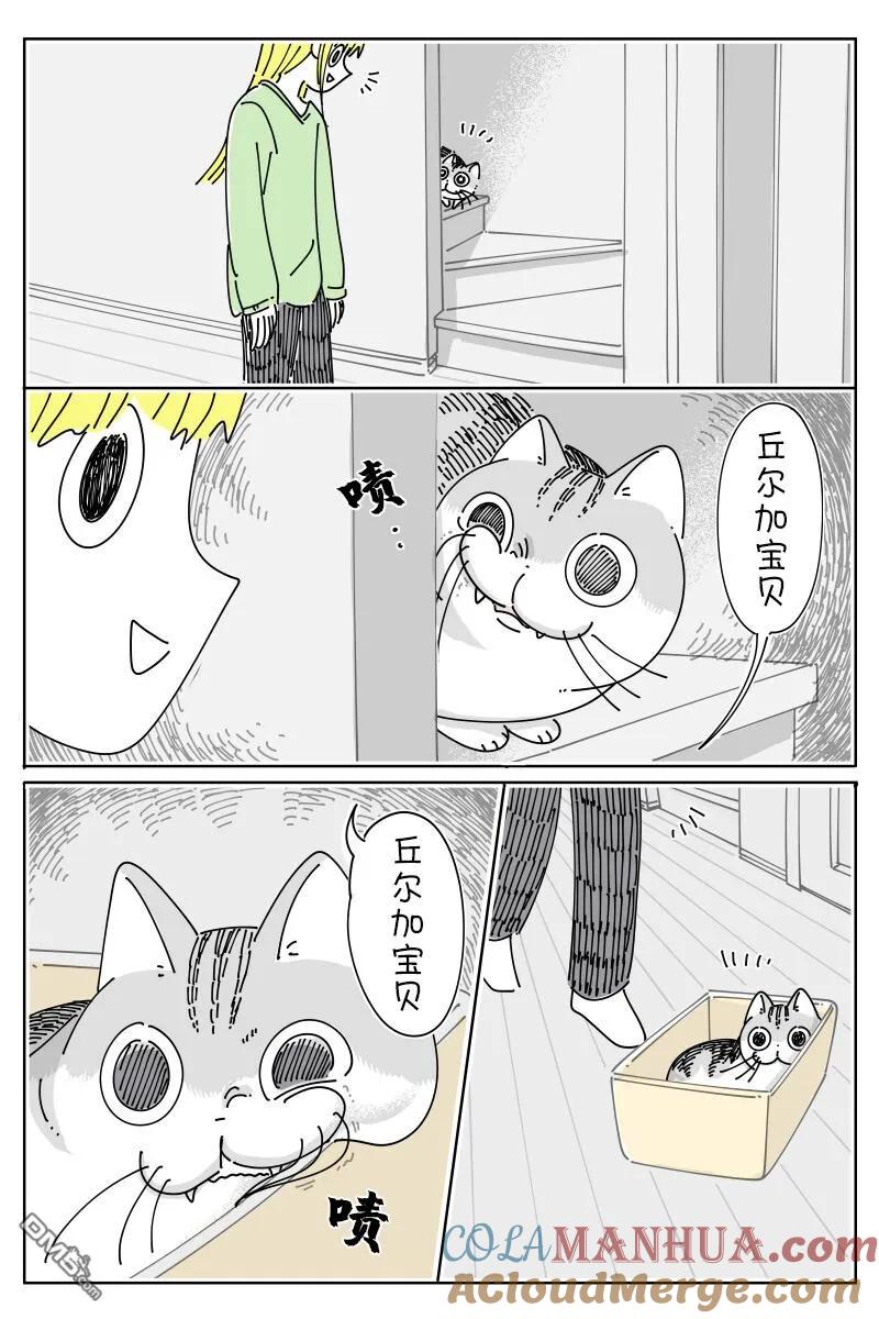 第164话-关于养猫我一直是新手-キュルZ（第1张）