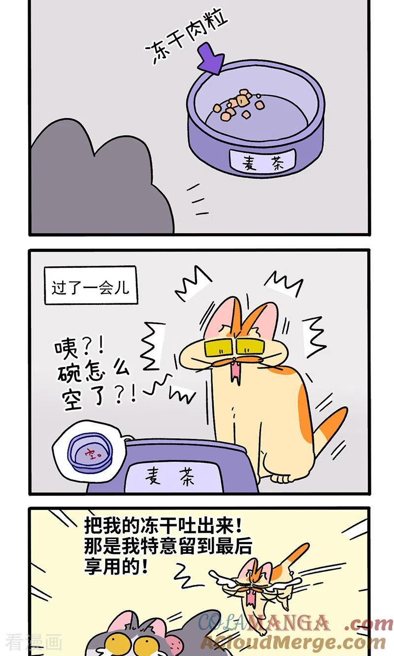 第91话麦茶的烦恼-阿满和麦茶-新漫画 日胖大海寺（第2张）