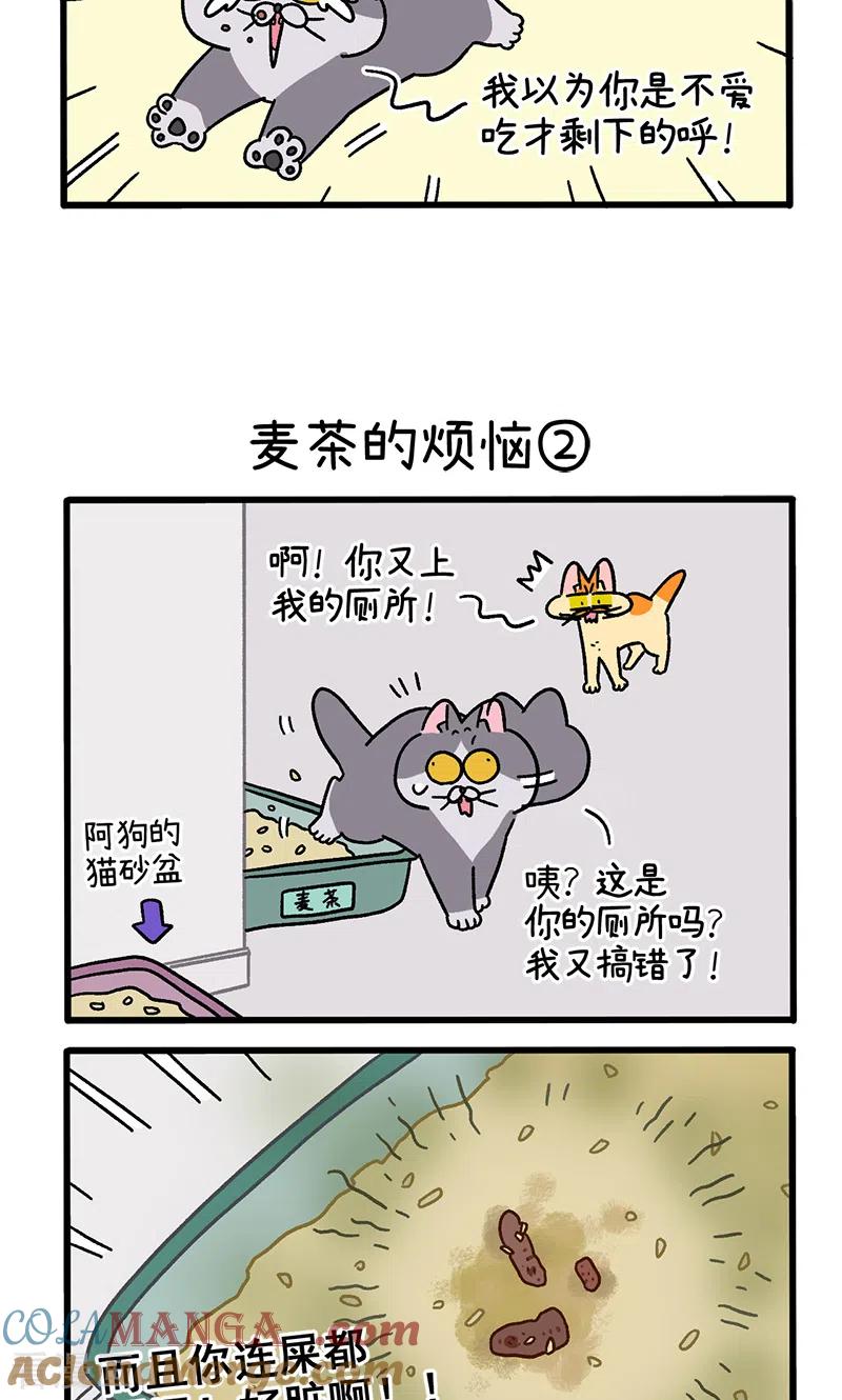 第91话麦茶的烦恼-阿满和麦茶-新漫画 日胖大海寺（第3张）