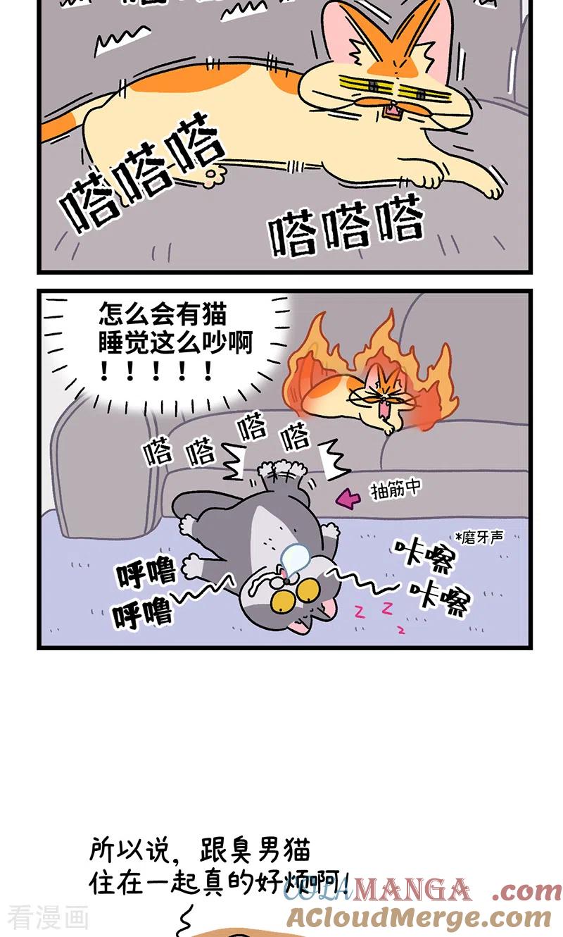 第91话麦茶的烦恼-阿满和麦茶-新漫画 日胖大海寺（第6张）