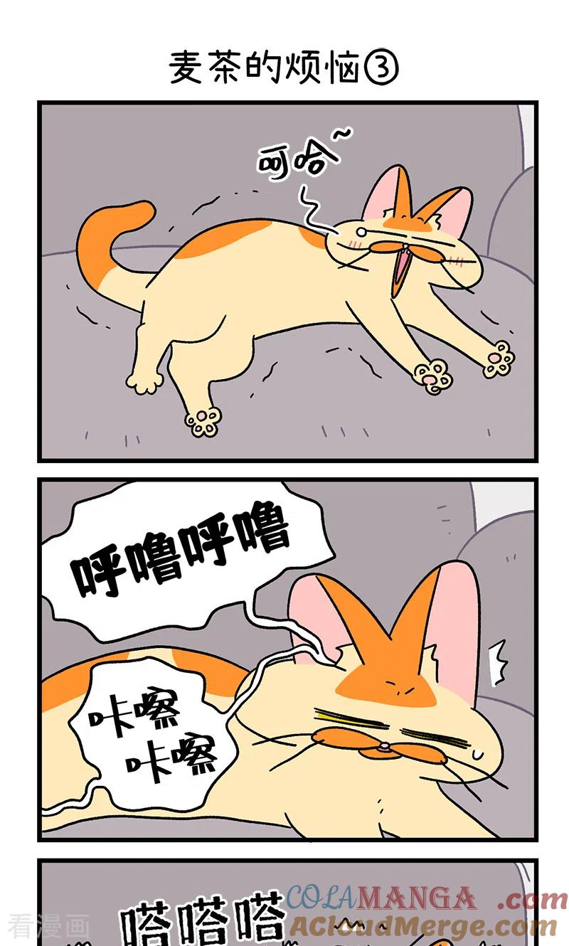 第91话麦茶的烦恼-阿满和麦茶-新漫画 日胖大海寺（第5张）
