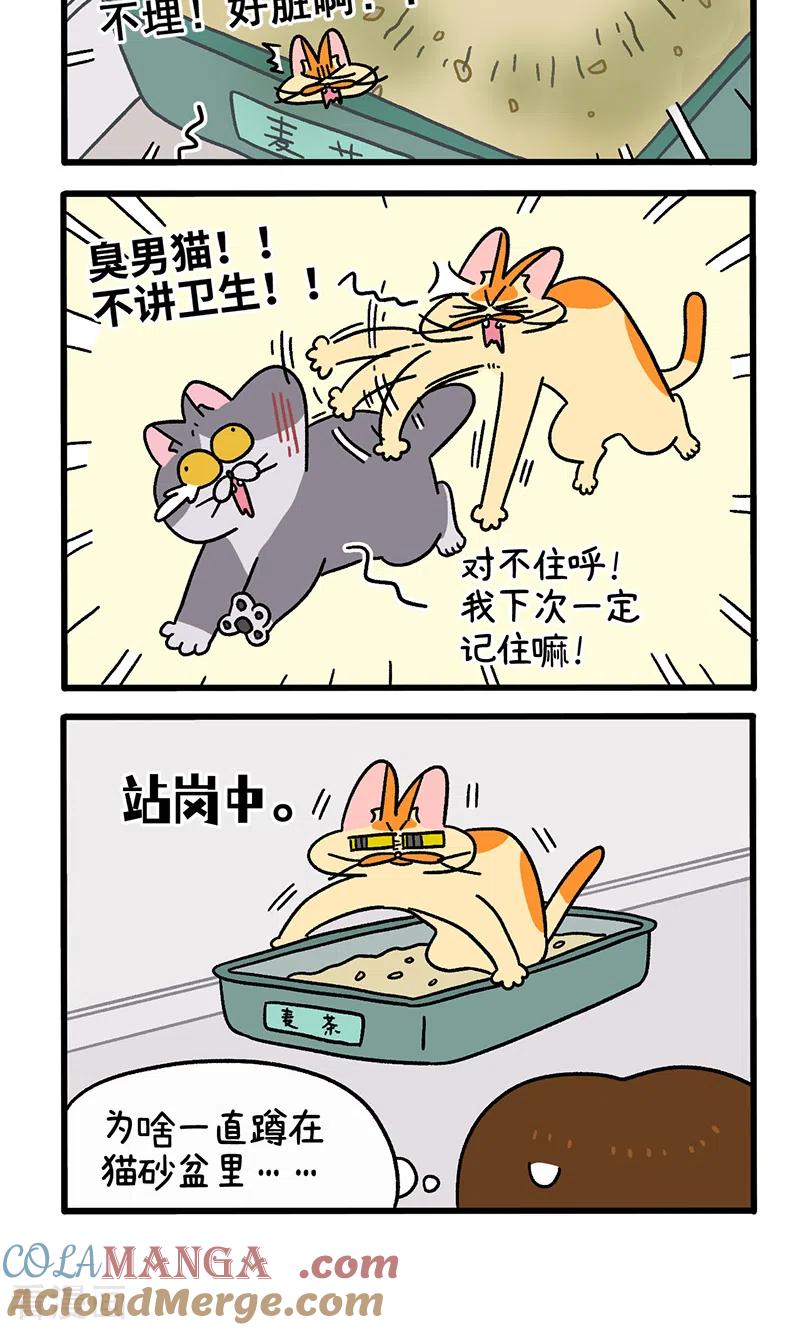 第91话麦茶的烦恼-阿满和麦茶-新漫画 日胖大海寺（第4张）