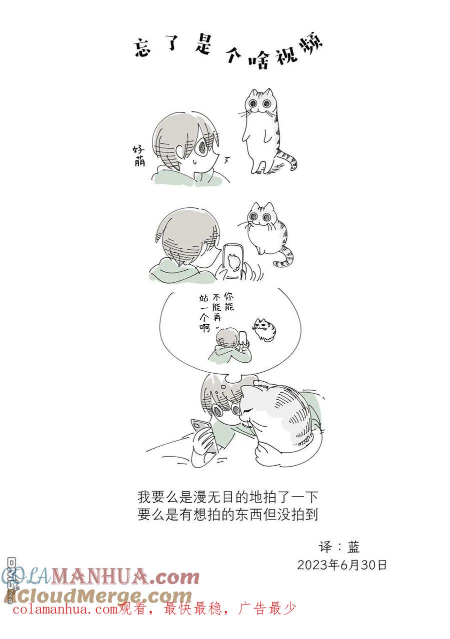 第173话-关于养猫我一直是新手-キュルZ（第2张）