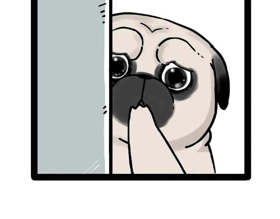 77.jpg