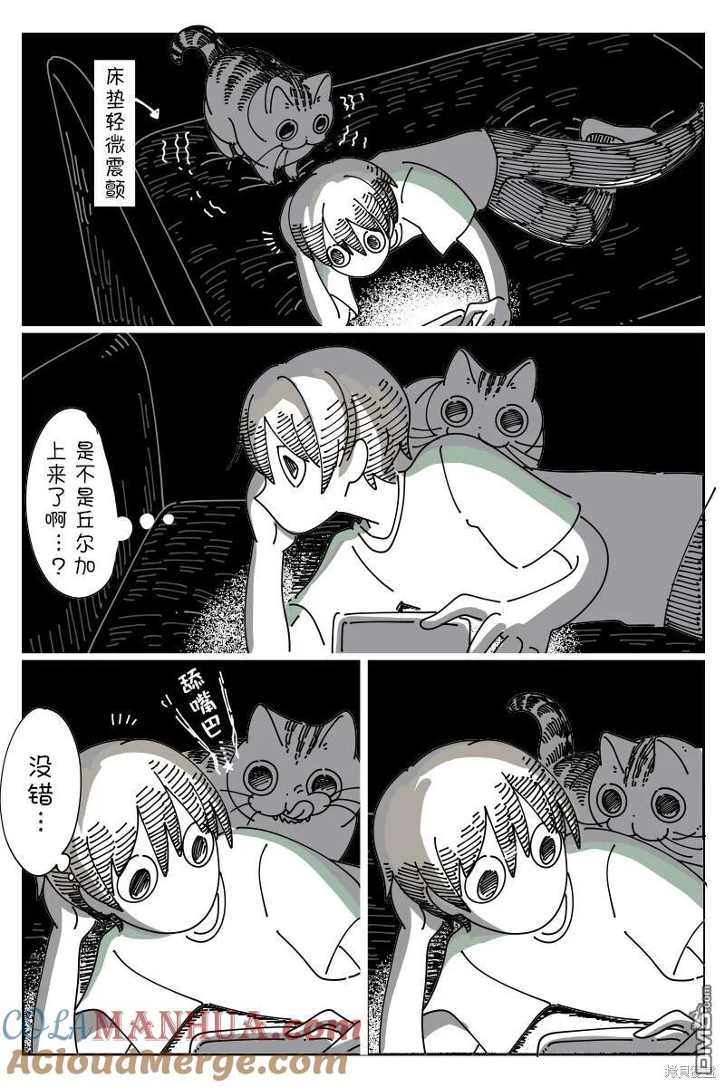 第177话-关于养猫我一直是新手-キュルZ（第1张）
