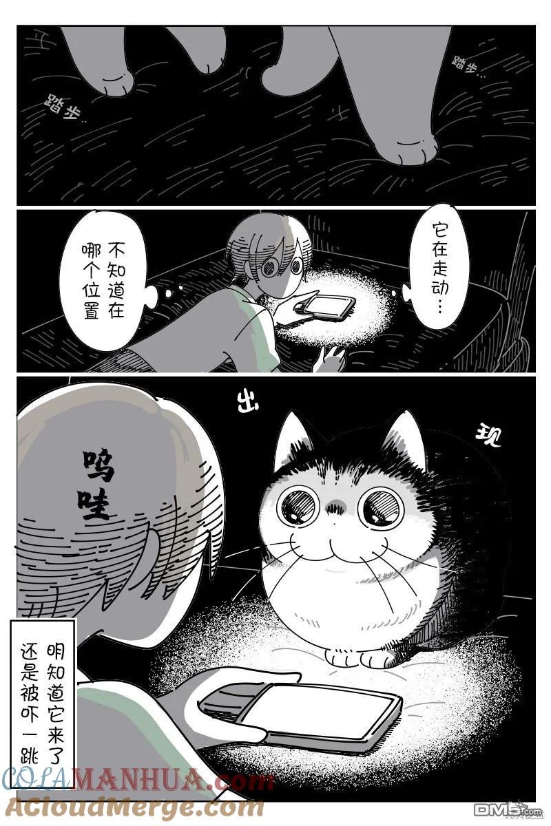 第177话-关于养猫我一直是新手-キュルZ（第2张）