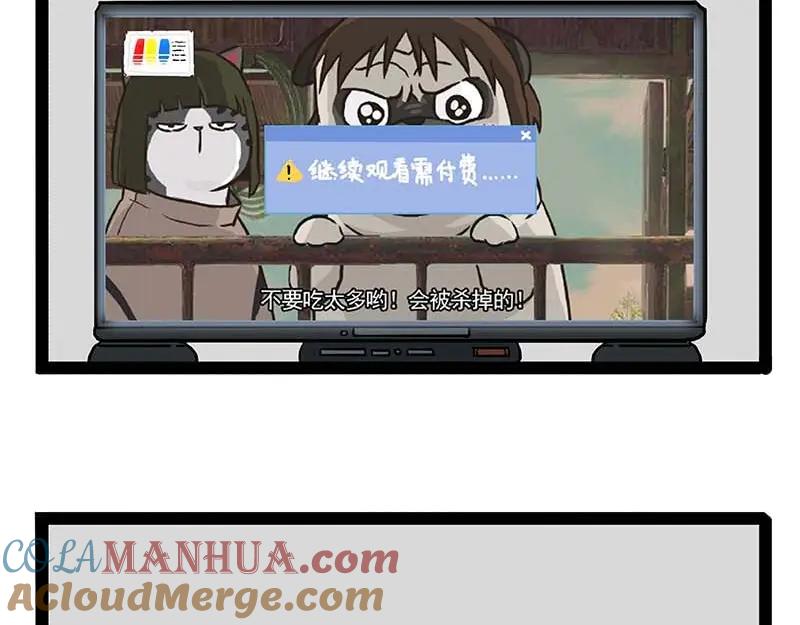 43.jpg
