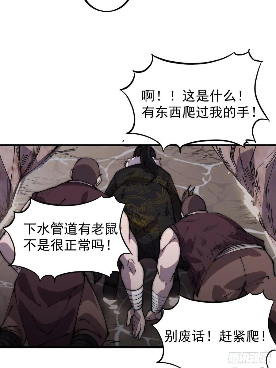 35.jpg