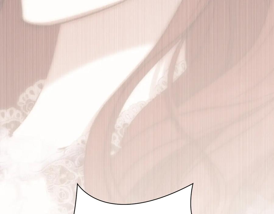219.jpg