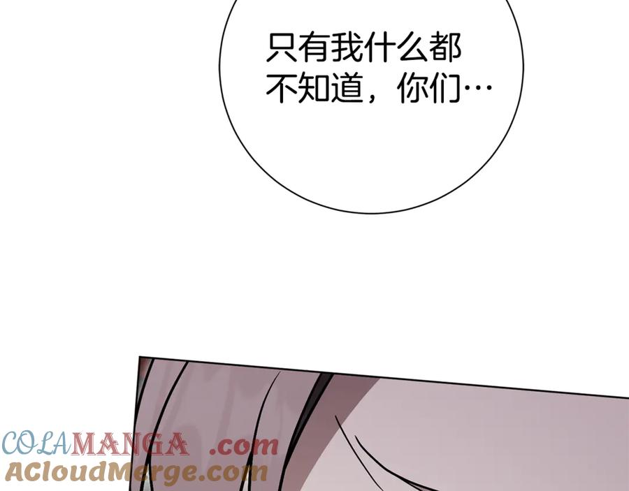213.jpg