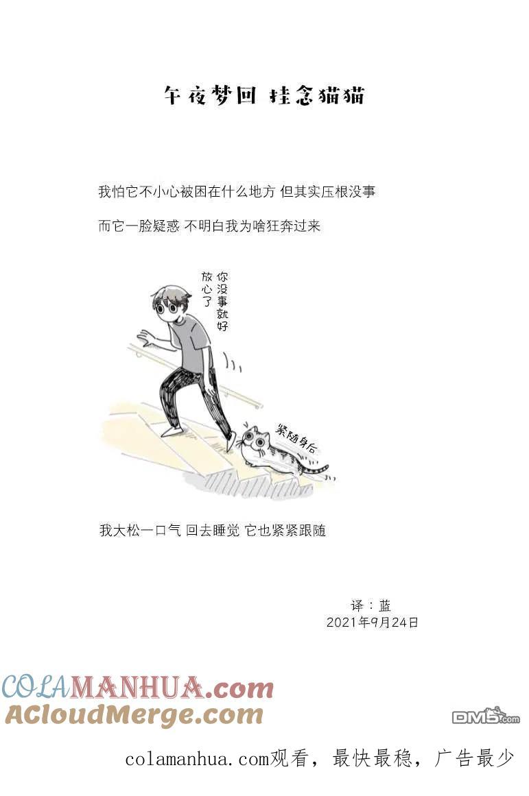 第83话-关于养猫我一直是新手-キュルZ（第2张）