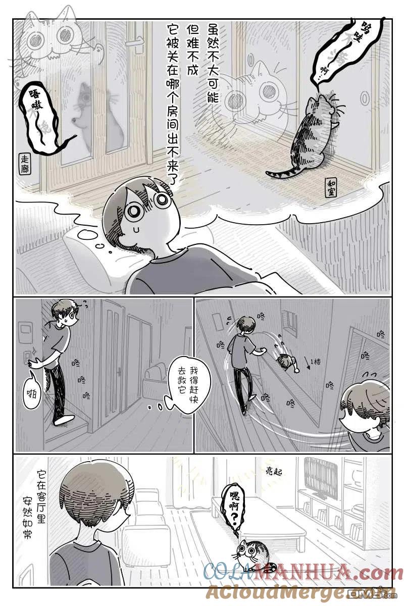 第83话-关于养猫我一直是新手-キュルZ（第1张）