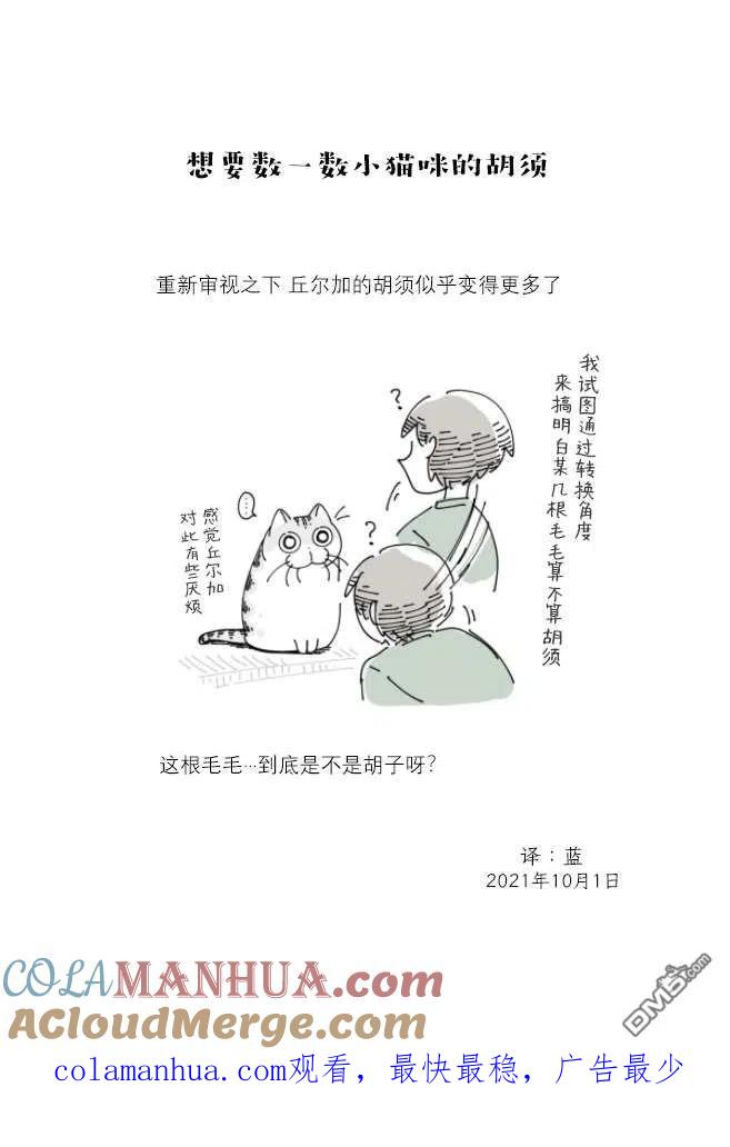 第84话-关于养猫我一直是新手-キュルZ（第3张）