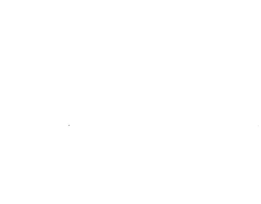 204.jpg