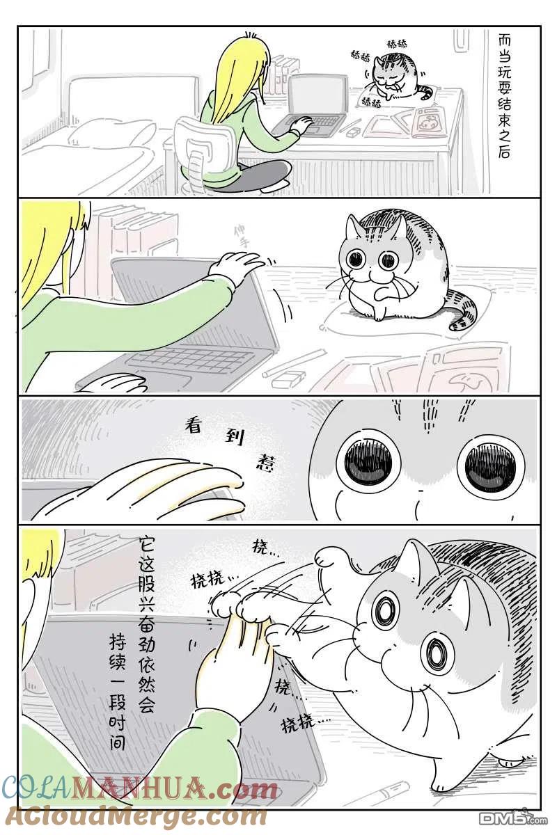 第91话-关于养猫我一直是新手-キュルZ（第2张）
