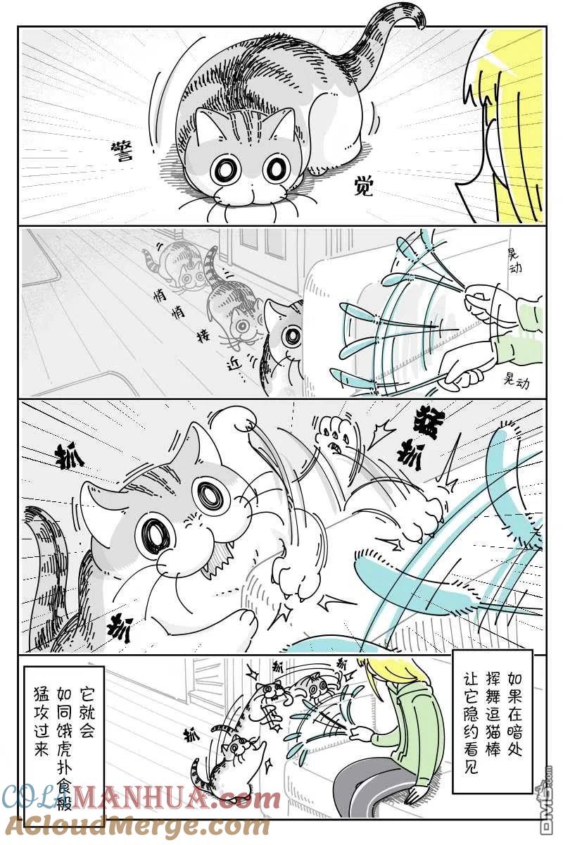 第91话-关于养猫我一直是新手-キュルZ（第1张）