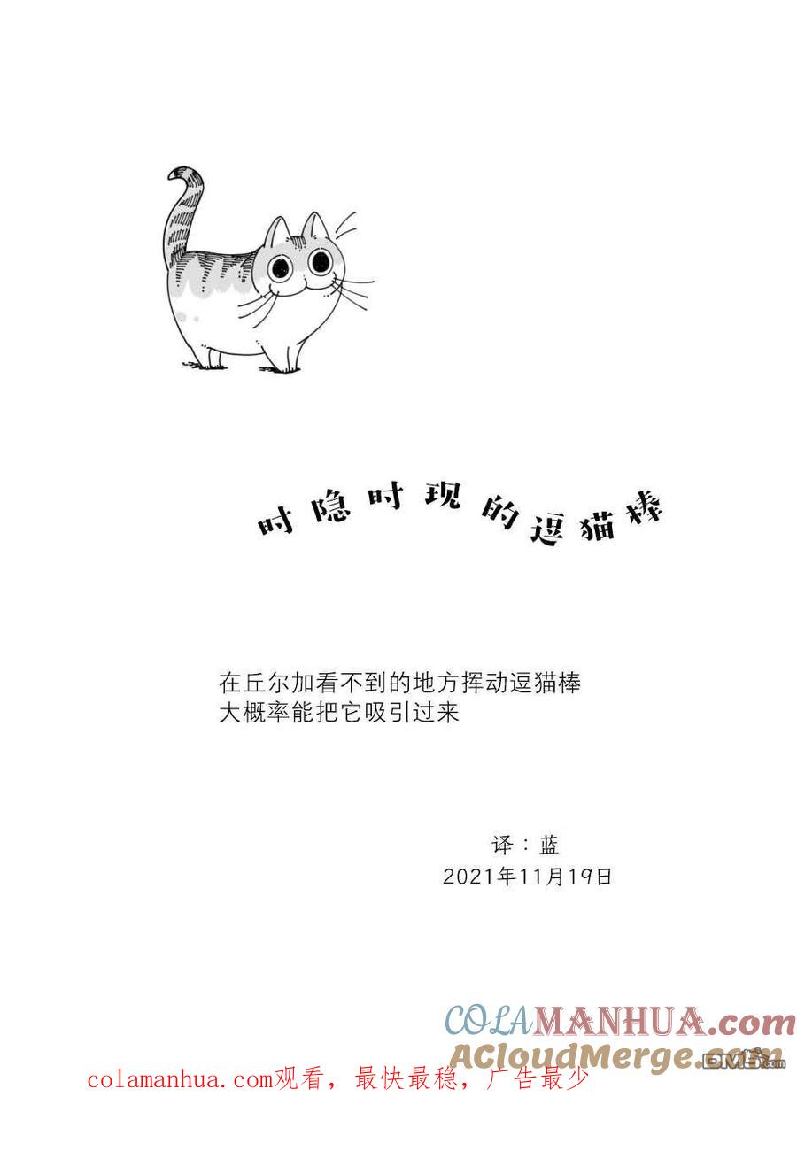 第91话-关于养猫我一直是新手-キュルZ（第3张）