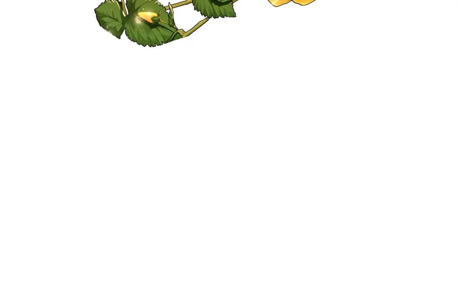 190.jpg