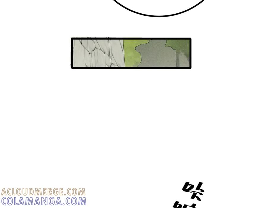 73.jpg