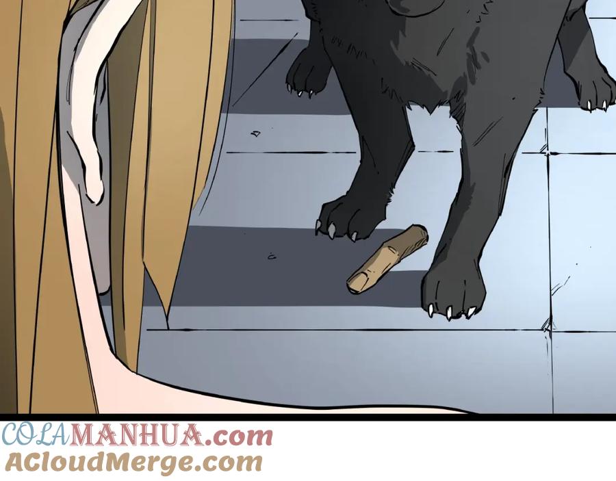 41.jpg