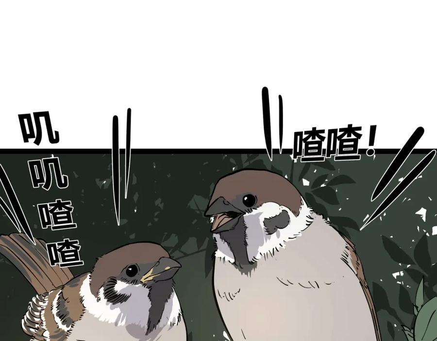 63.jpg