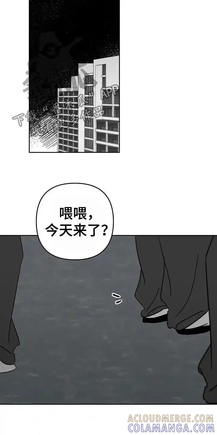 第62章：到底去哪了-孽缘(FAN)-Keonn（第5张）