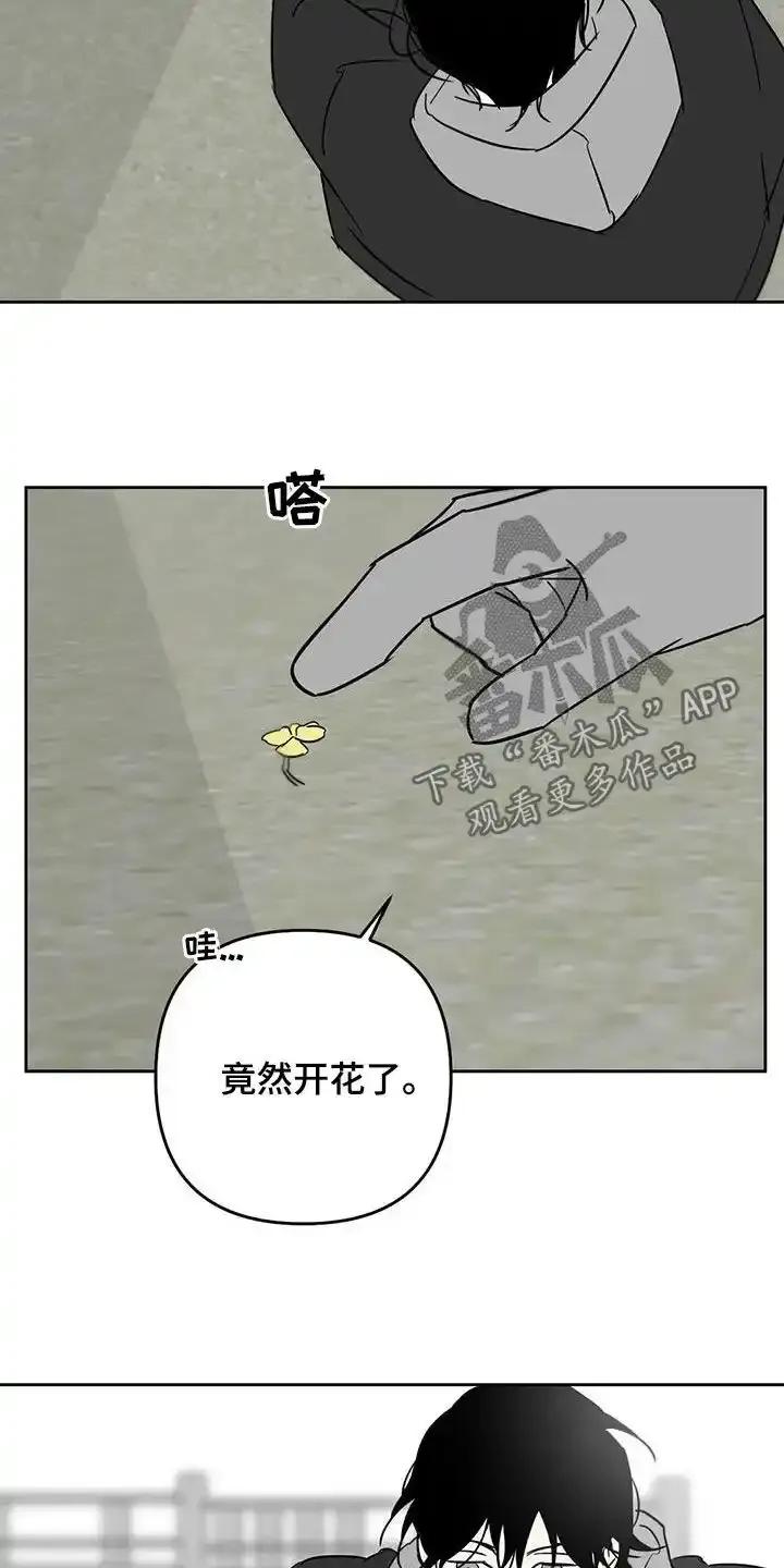 第84章：回忆过去-孽缘(FAN)-Keonn（第8张）