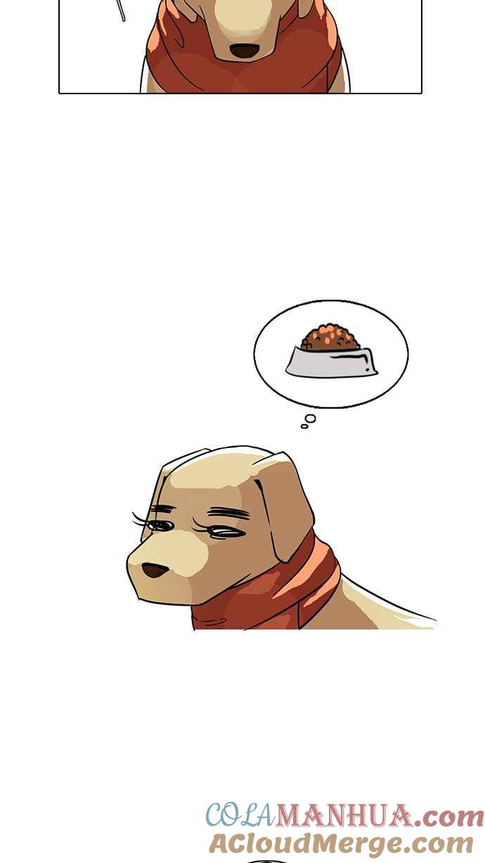 46.jpg