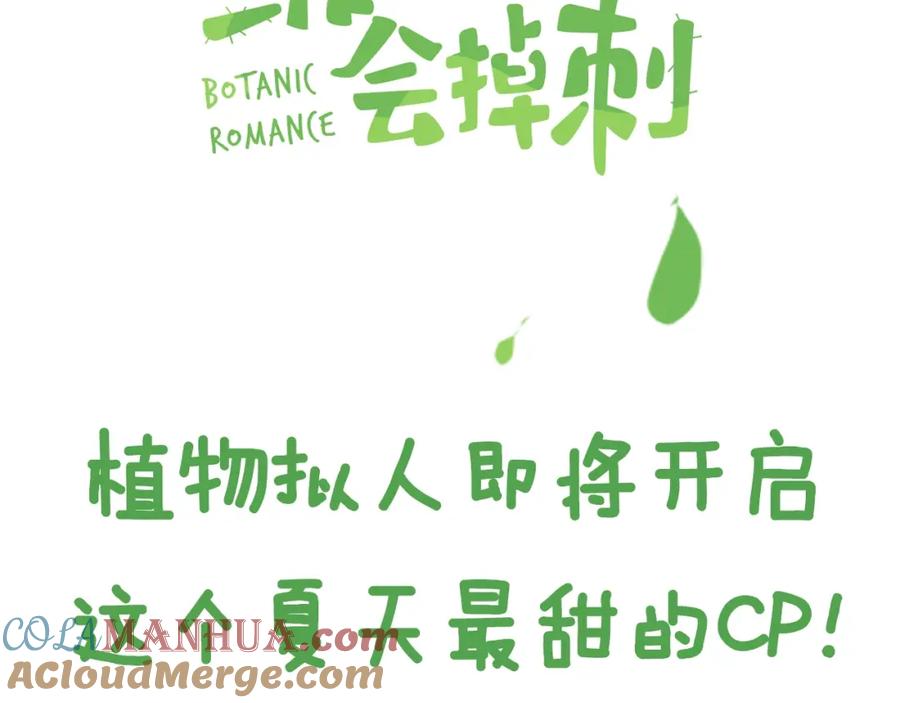 史上最美型的植物拟人？-靠近你会掉刺-余生守时（第10张）