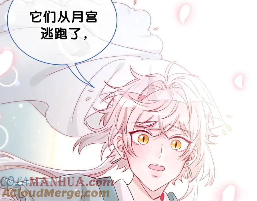 番外你代替兔子吧~-靠近你会掉刺-余生守时（第12张）