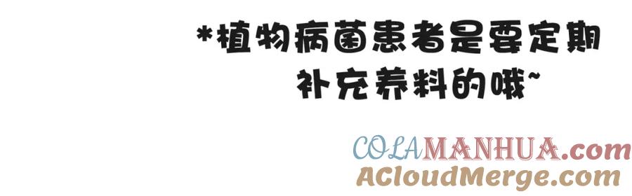 第2话小可爱上线！-靠近你会掉刺-余生守时（第32张）