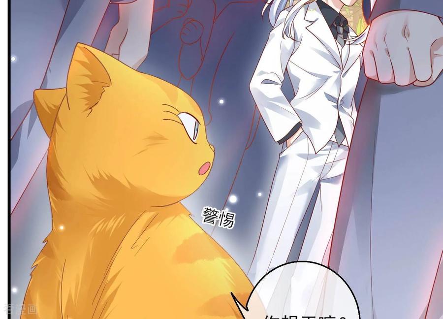 第67话我爱你，老婆-我是漫画女主角-爱奇艺漫画（第69张）