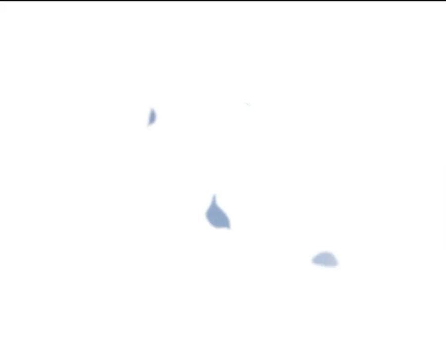 110.jpg