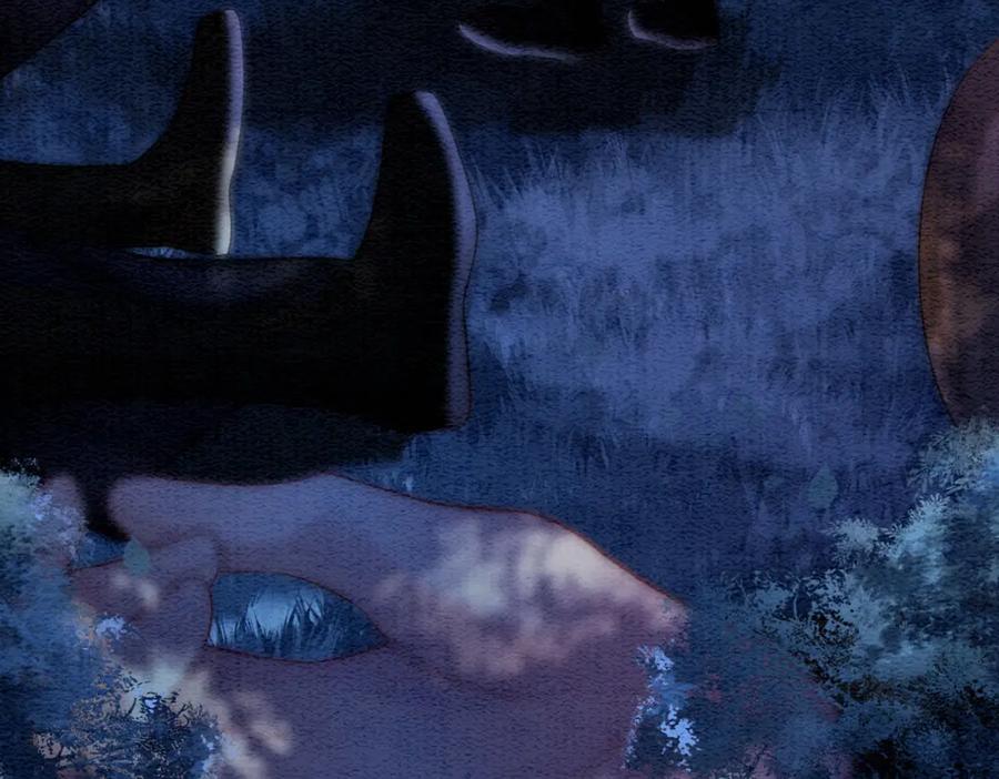 88.jpg