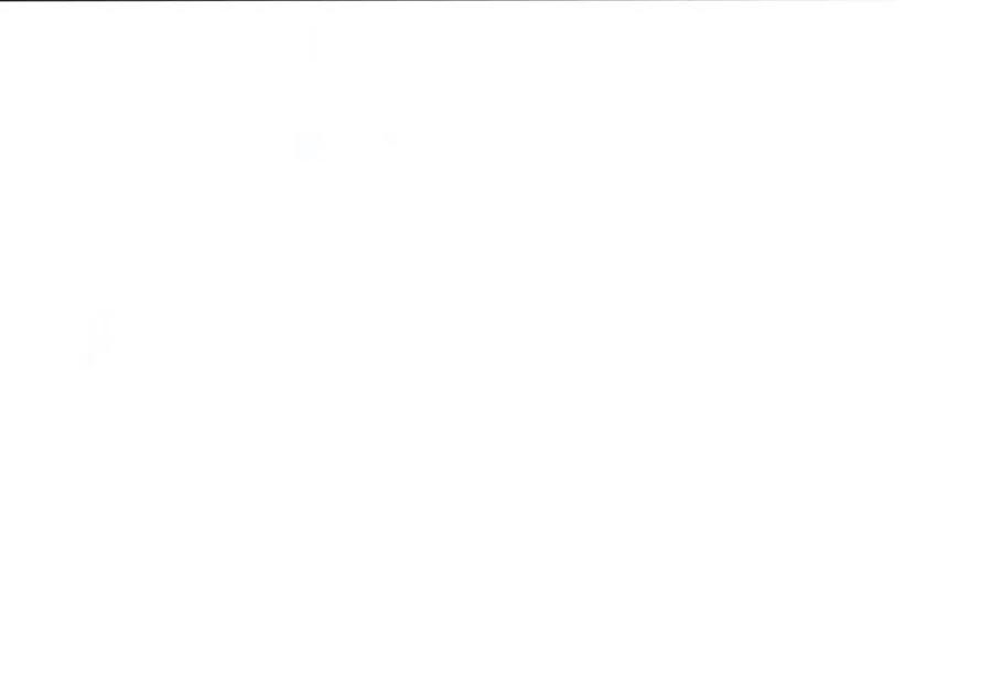 67.jpg