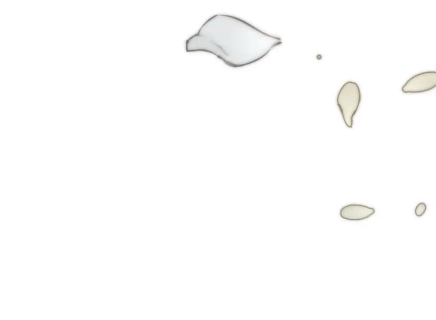 147.jpg