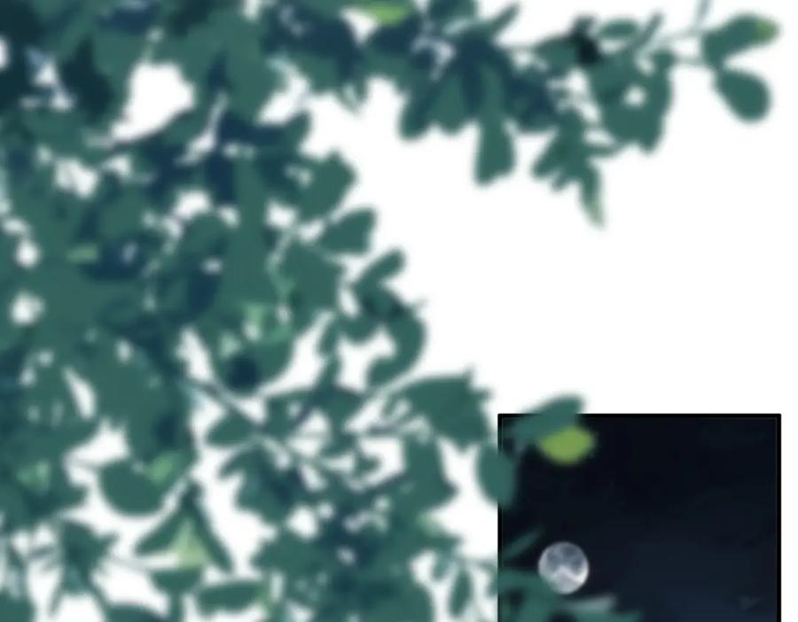 112.jpg