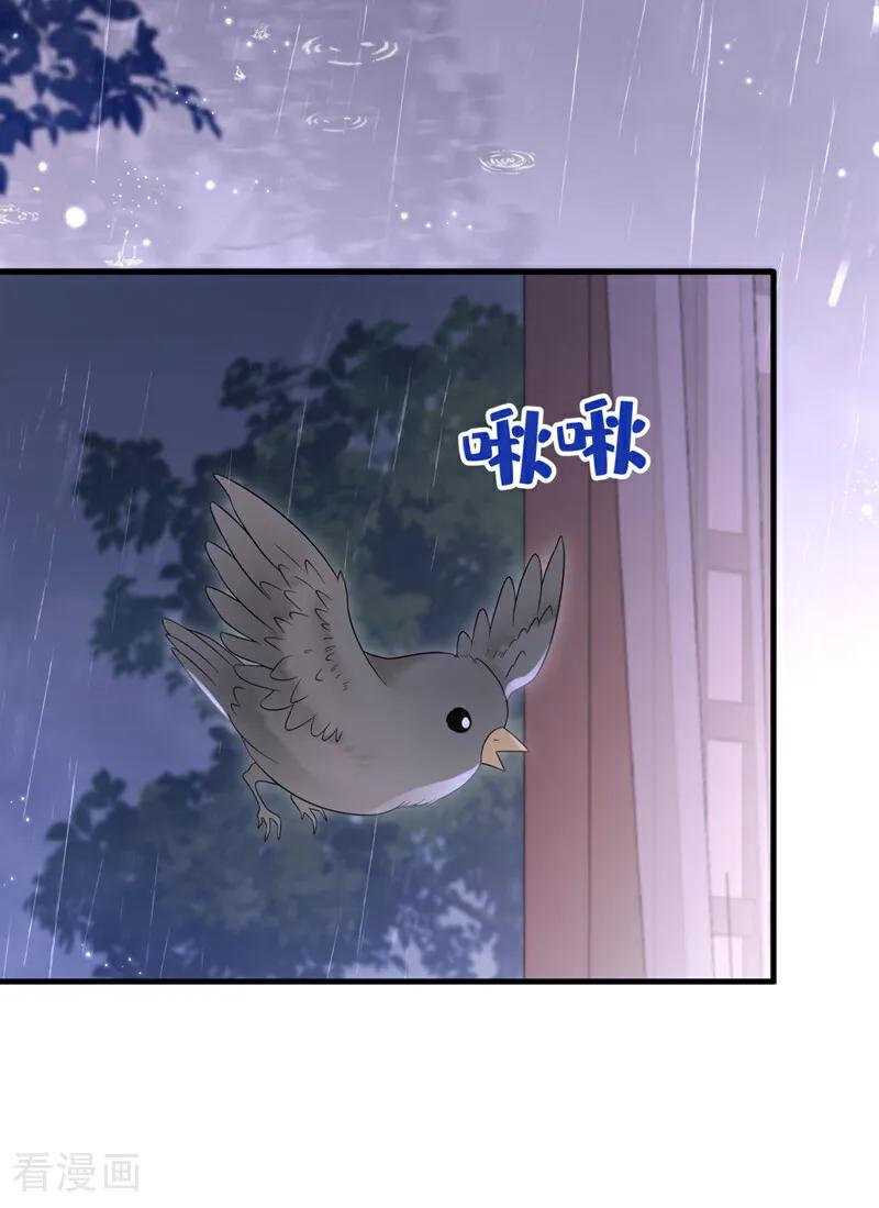 第12话有谁帮了你吗？-快穿：宿主她一心求死-iCiyuan动漫（第38张）