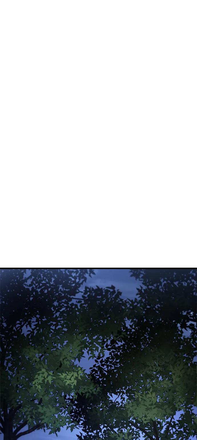 87.jpg