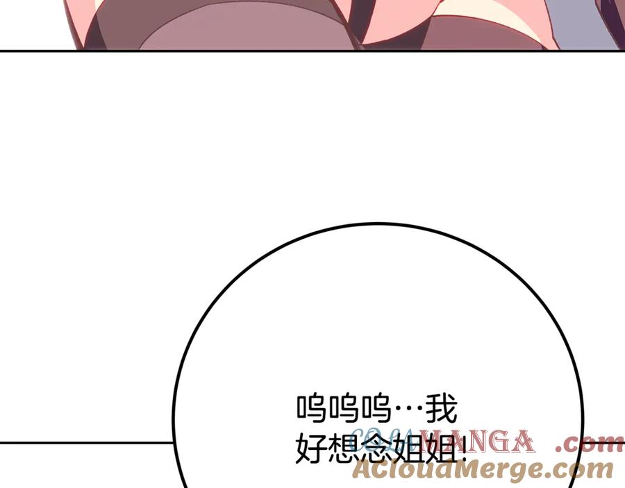 141.jpg