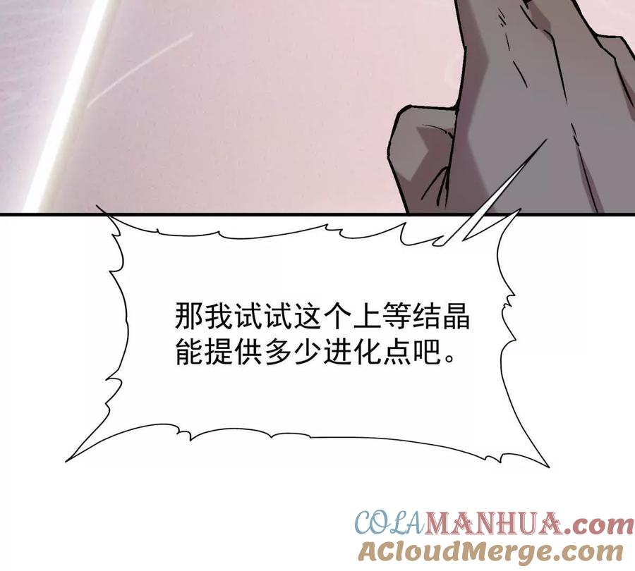 113.jpg