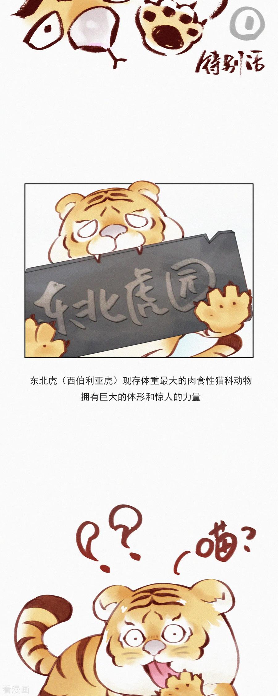 第11话春节特别篇-快乐蒜球啊？-蒜头文化（第2张）