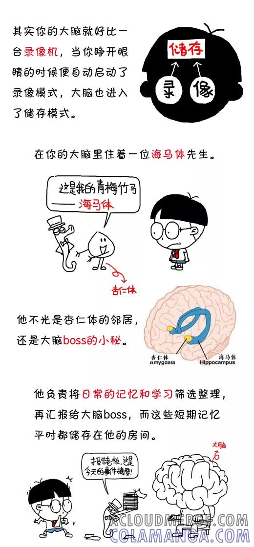 第496话-小明系列漫画-小明（第2张）