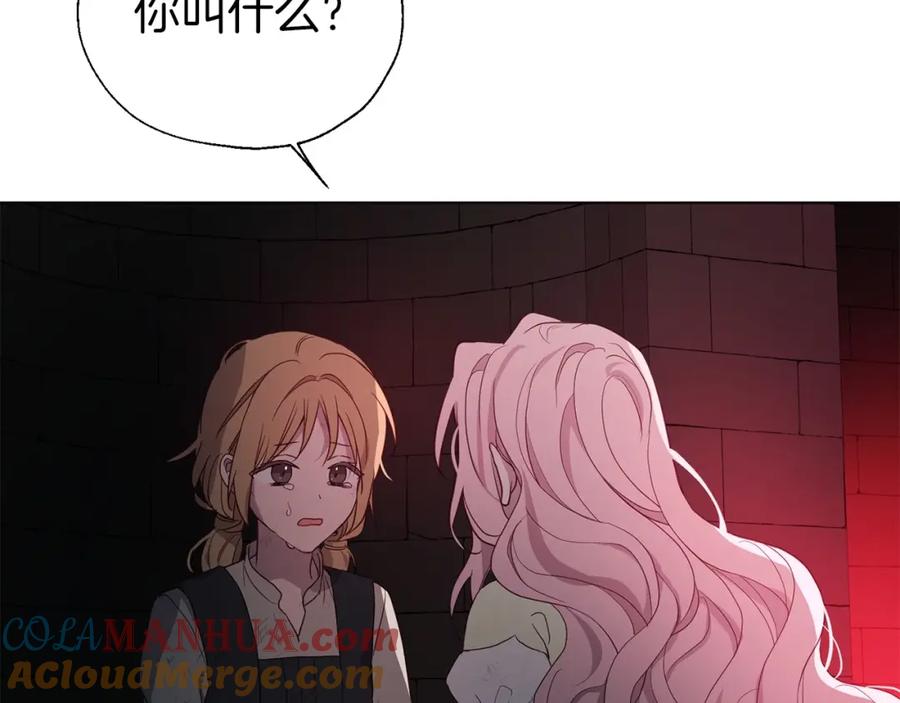 117.jpg