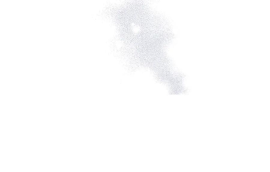 52.jpg